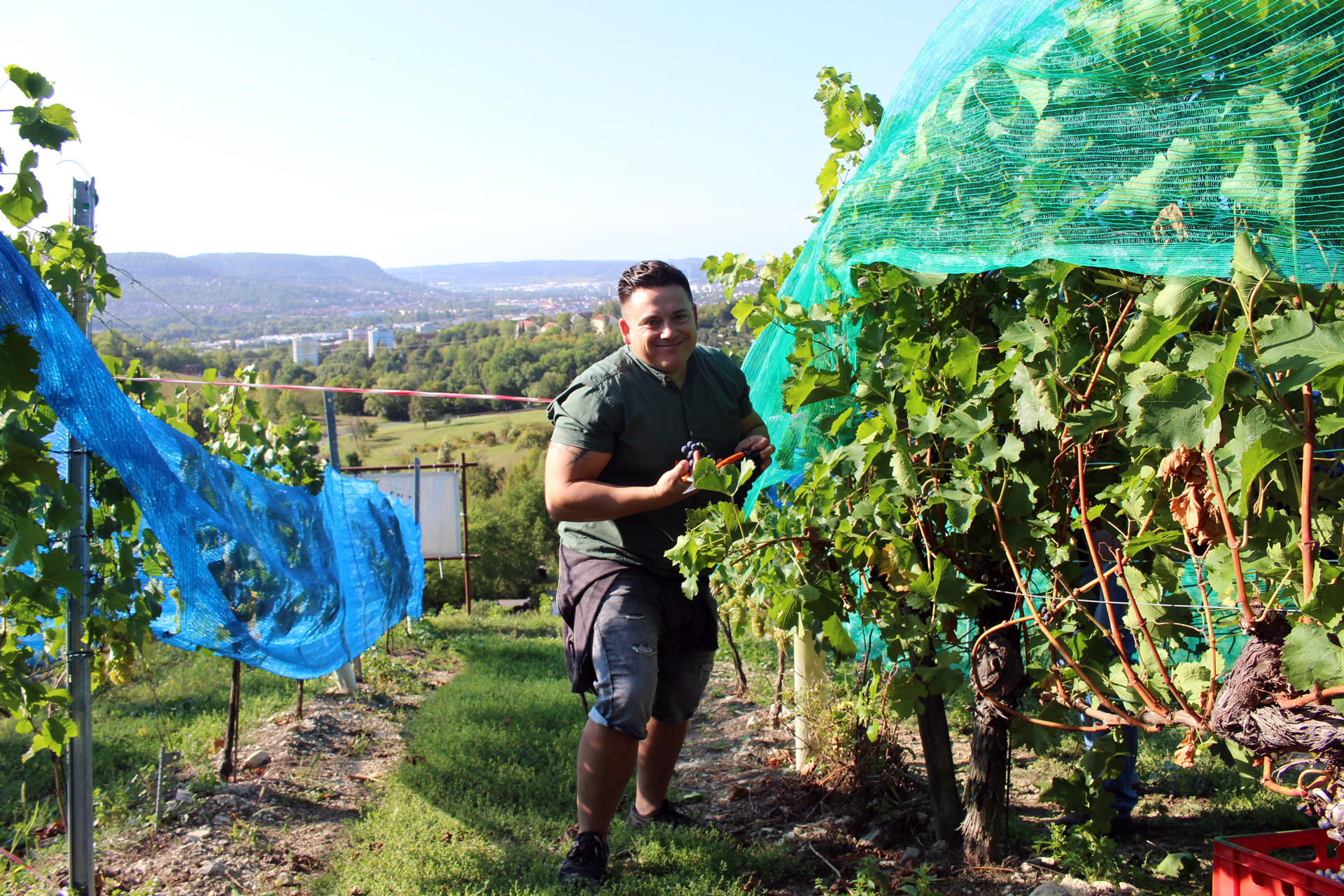 Zu sehen ist ein fröhlicher junger Mann zwischen Weinreben. Der Hintergrund bietet einen Blick ins Jenaer Tal.