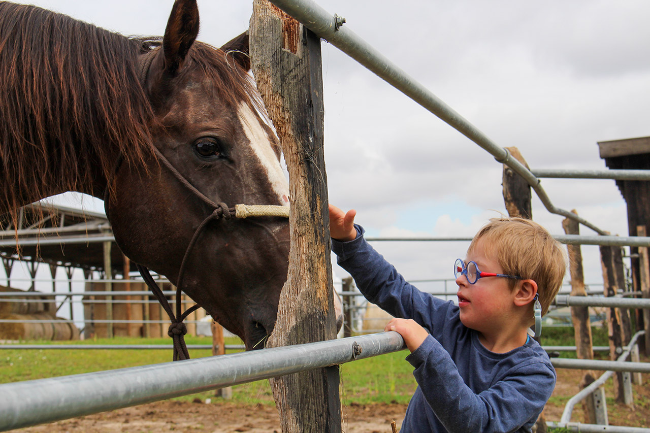Ein Bild zeigt einen keinen Jungen mit Brille. Der Junge streichelt ein braunes Pferd.